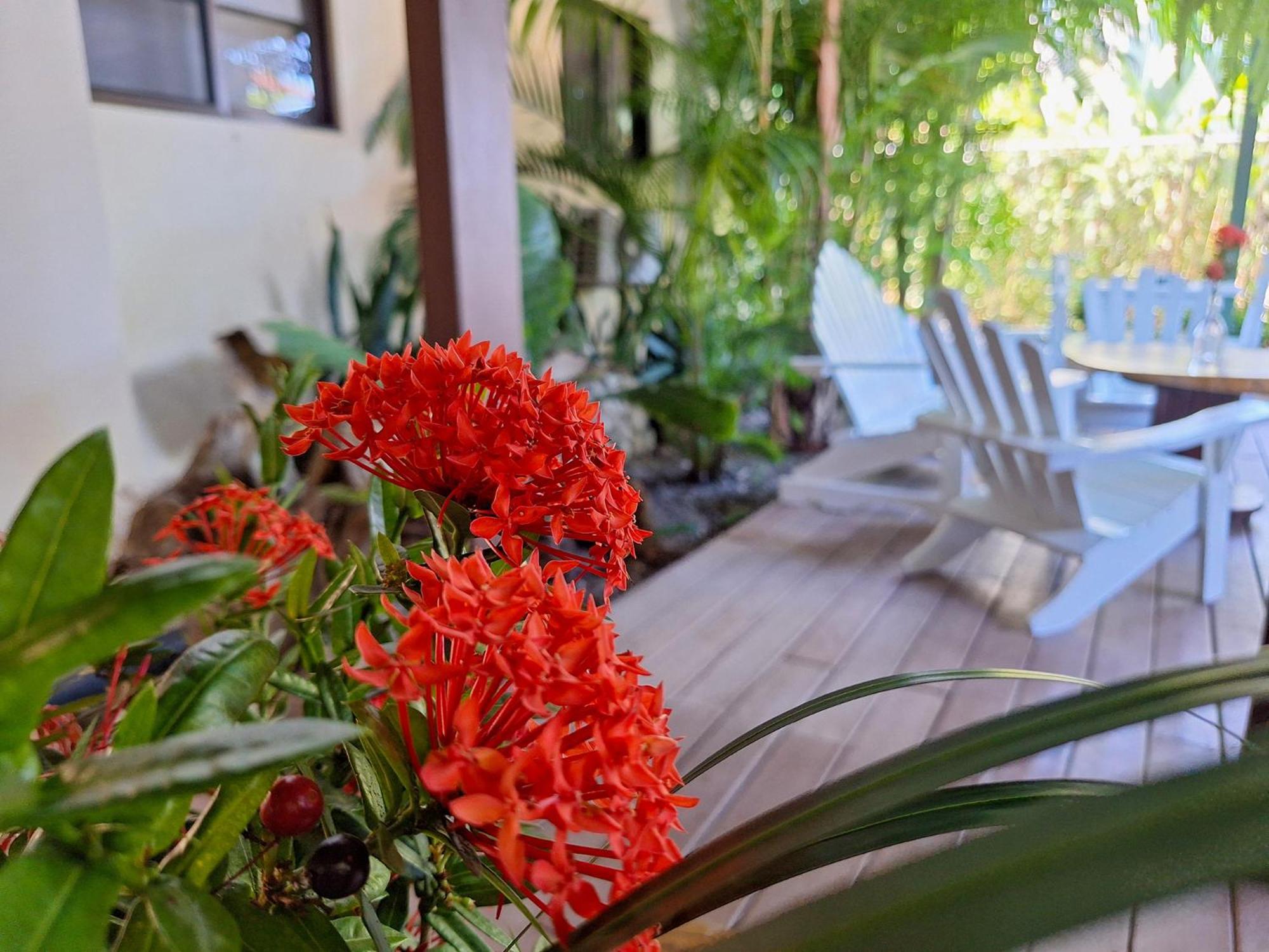 Infiniti Hotel Puerto Viejo de Talamanca ภายนอก รูปภาพ